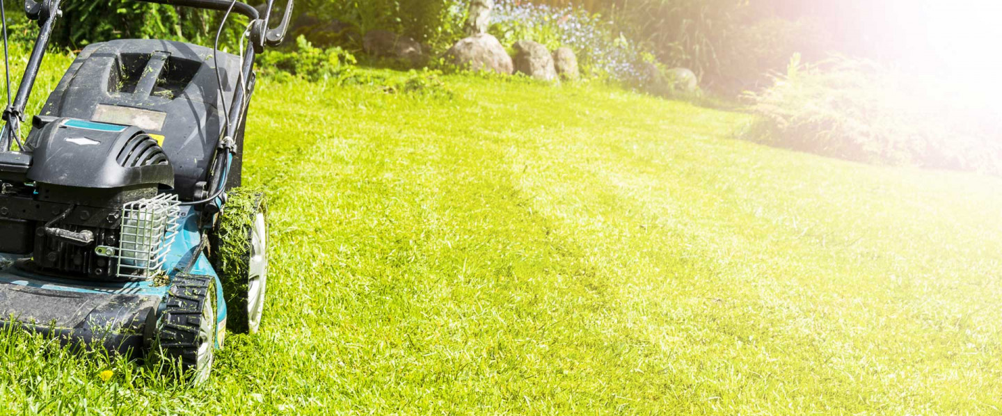 landscaper lawn care lawn mowing lawton ok